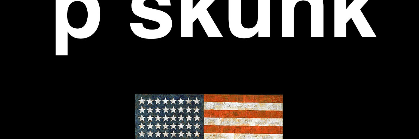 pskunkwilly's profile banner image