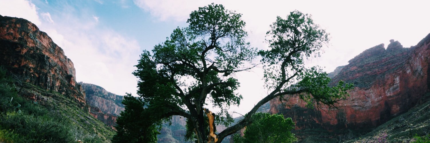 SierraMeeker's profile banner image