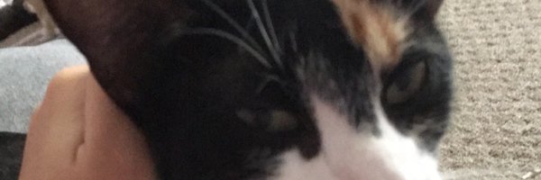 booobbieee Profile Banner