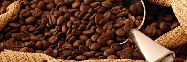 MarcoW_TE's profile banner image