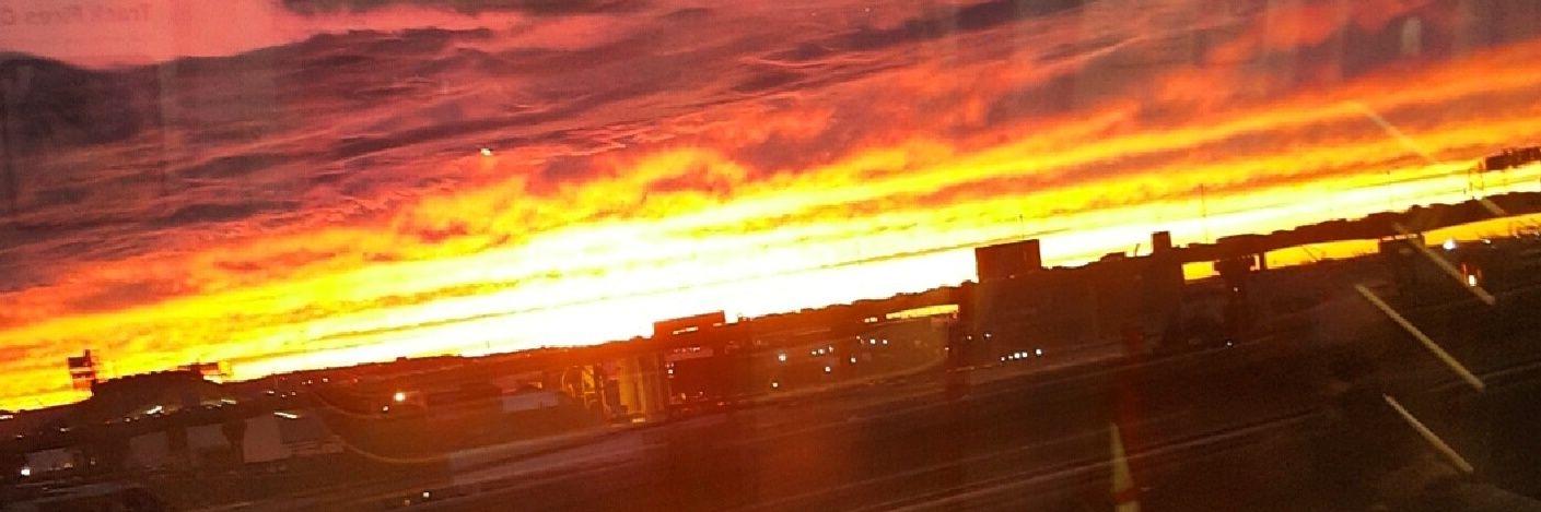 Damien Deliteris banner