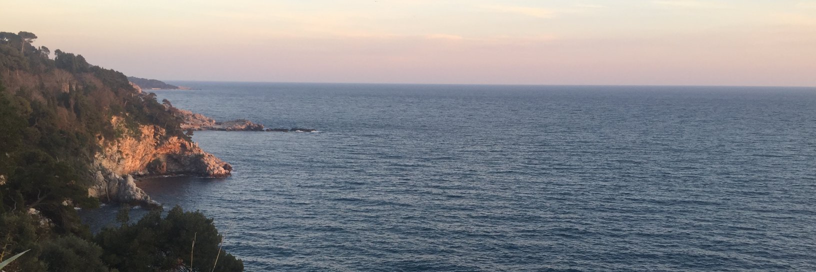 priya_kale's profile banner image