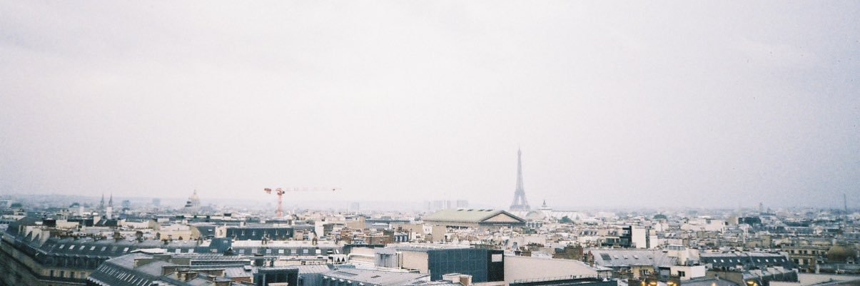 shnmnls's profile banner image