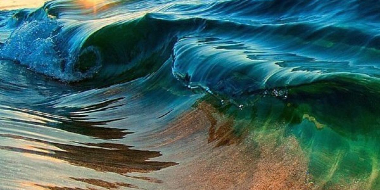 Carolina Iribarren banner