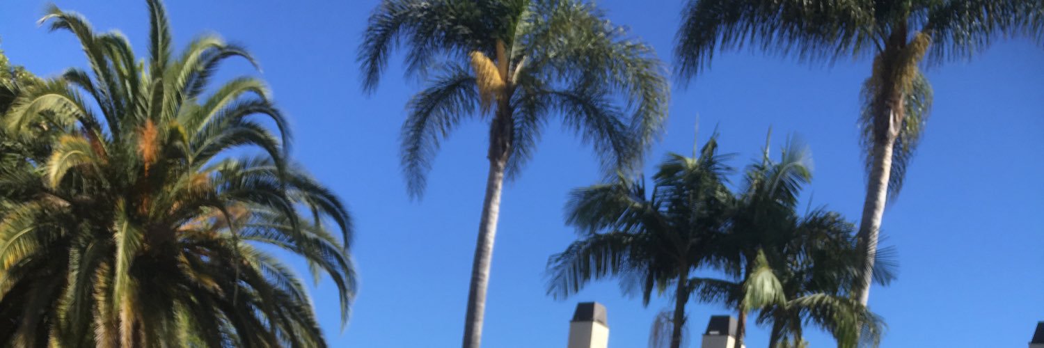 MSBillieP's profile banner image