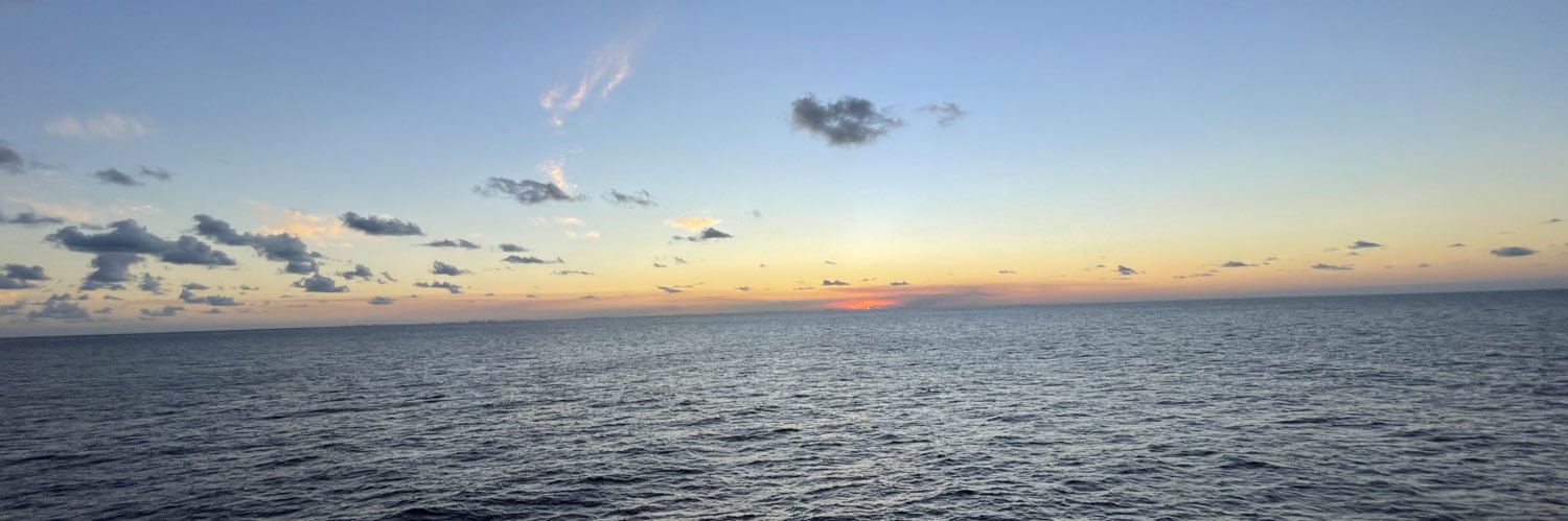 MerBear71's profile banner image