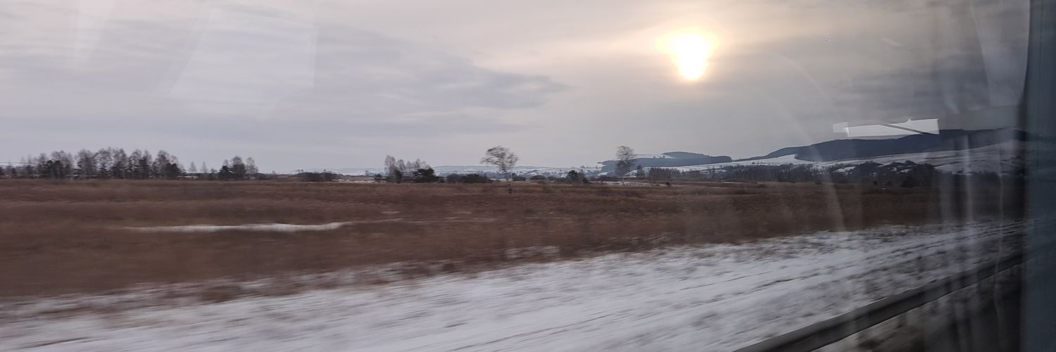 NinaBrnada's profile banner image