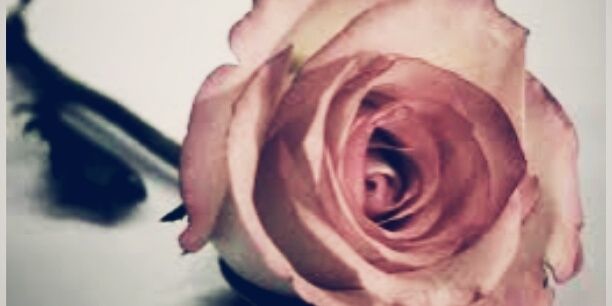 Nona banner