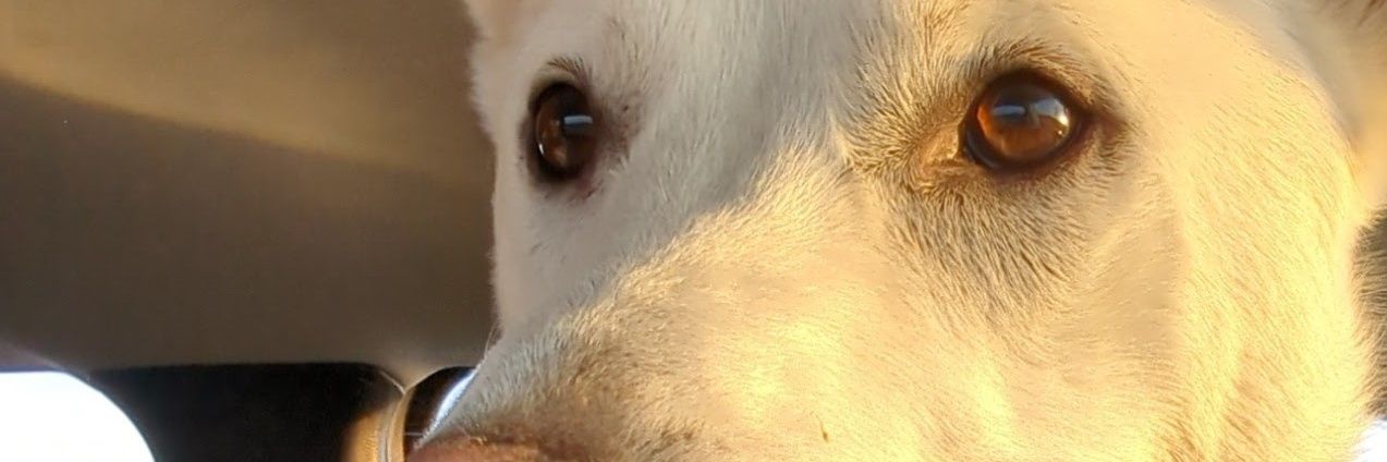 MartinDelgado's profile banner image