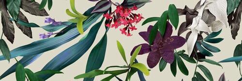 IlaLauriola's profile banner image
