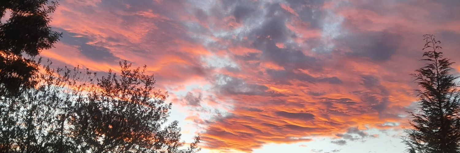 Foxxzee's Mom banner