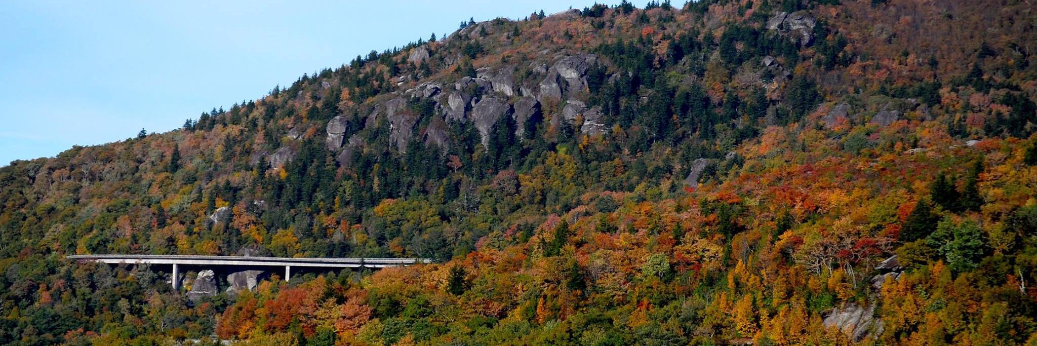 AppState Biology banner