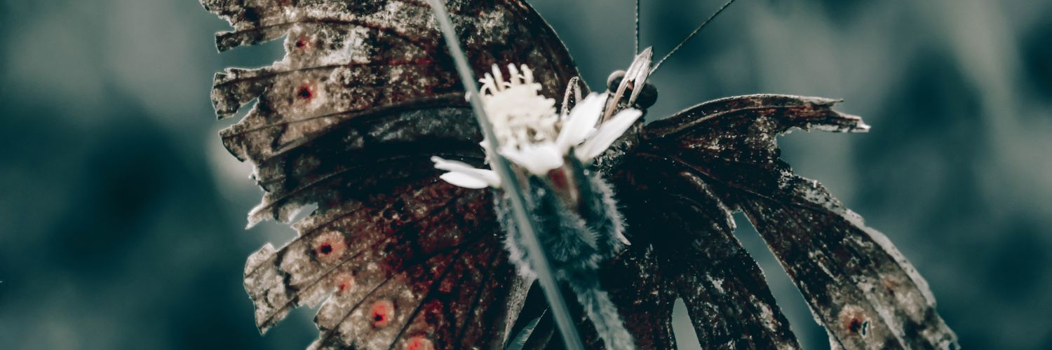 ab420xyz's profile banner image