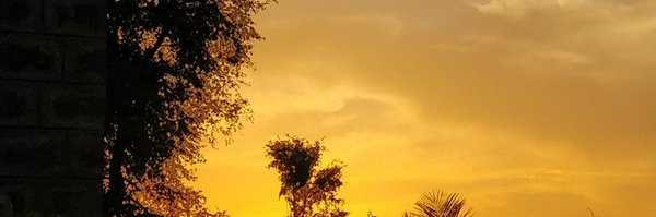 Niraj_chhipa Profile Banner