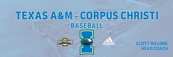 CorpusBaseball Profile Banner