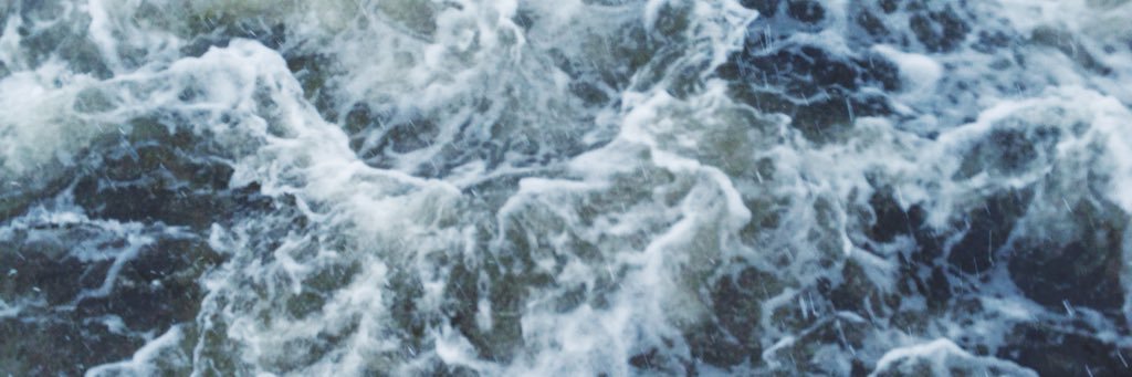 DGorodetskay's profile banner image