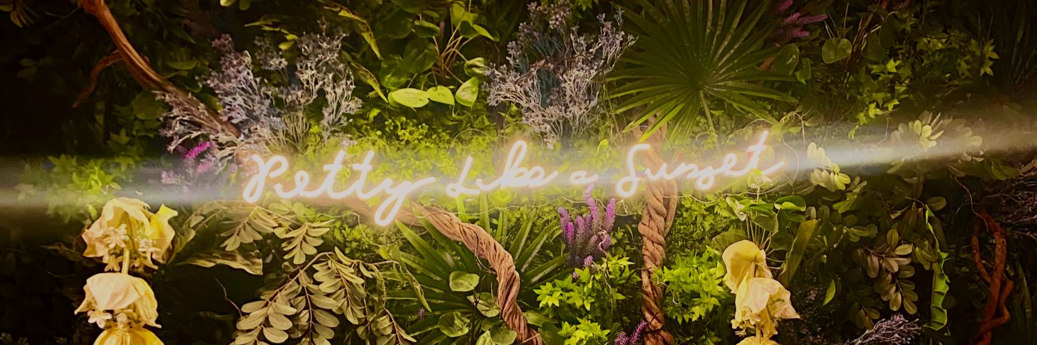silkearivero's profile banner image