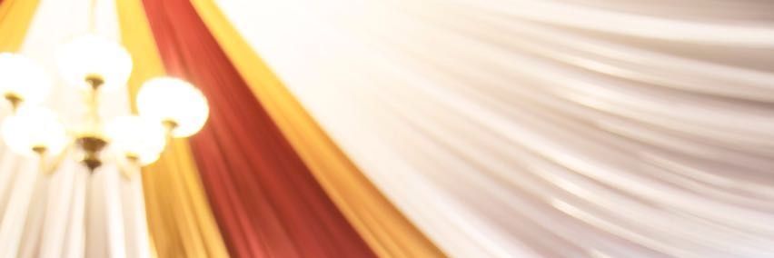vivi banner