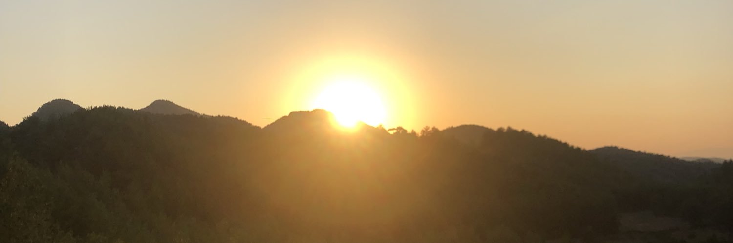 Thomas Lansdell banner