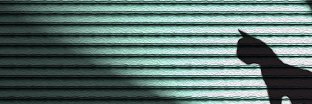 me_like2's profile banner image
