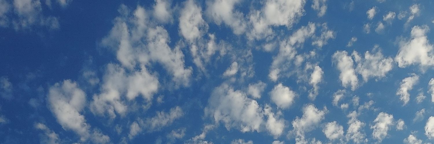 tcbulyanof's profile banner image