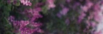 tasareef's profile banner image