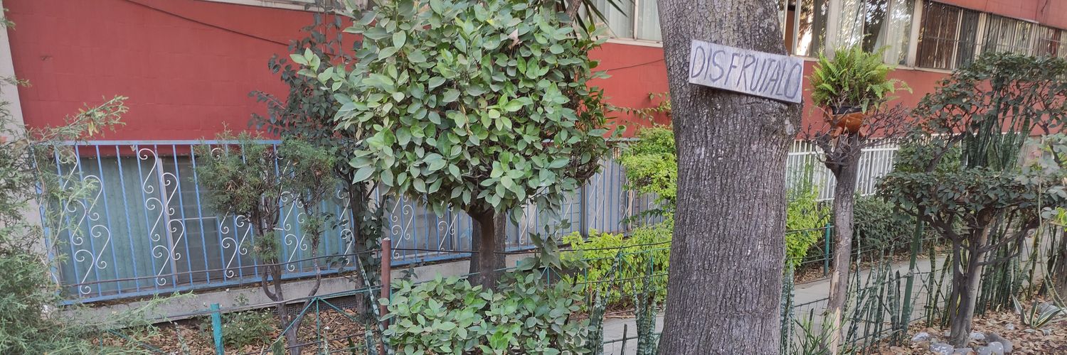 Andante con bicicletta banner