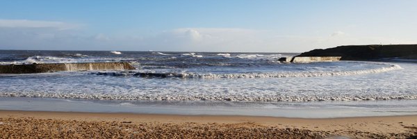 PeskyCod Profile Banner