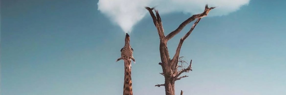 ShaggysPlug's profile banner image