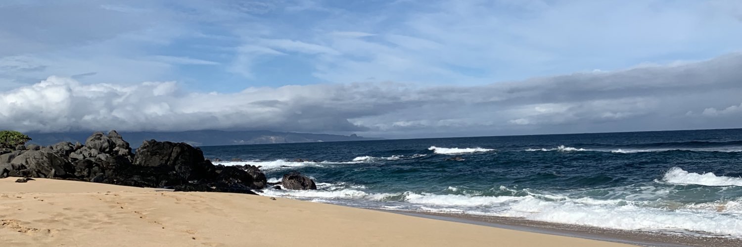 JoeyDFlinn's profile banner image