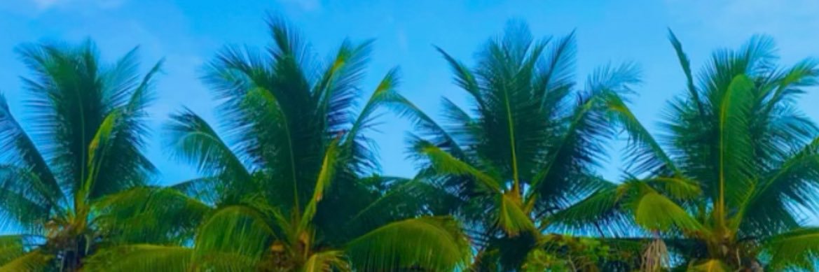 dannyzacc's profile banner image