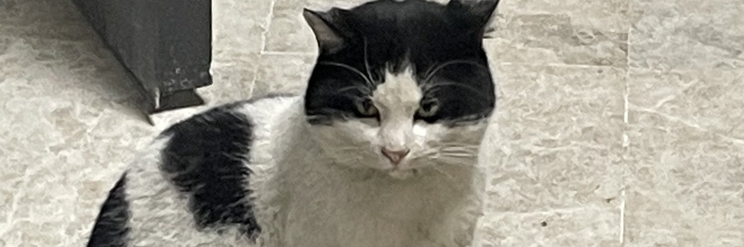 enoughfff's profile banner image
