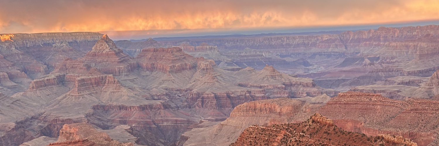 ✨ pariya ✨ banner