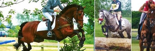 SHeventing Profile Banner
