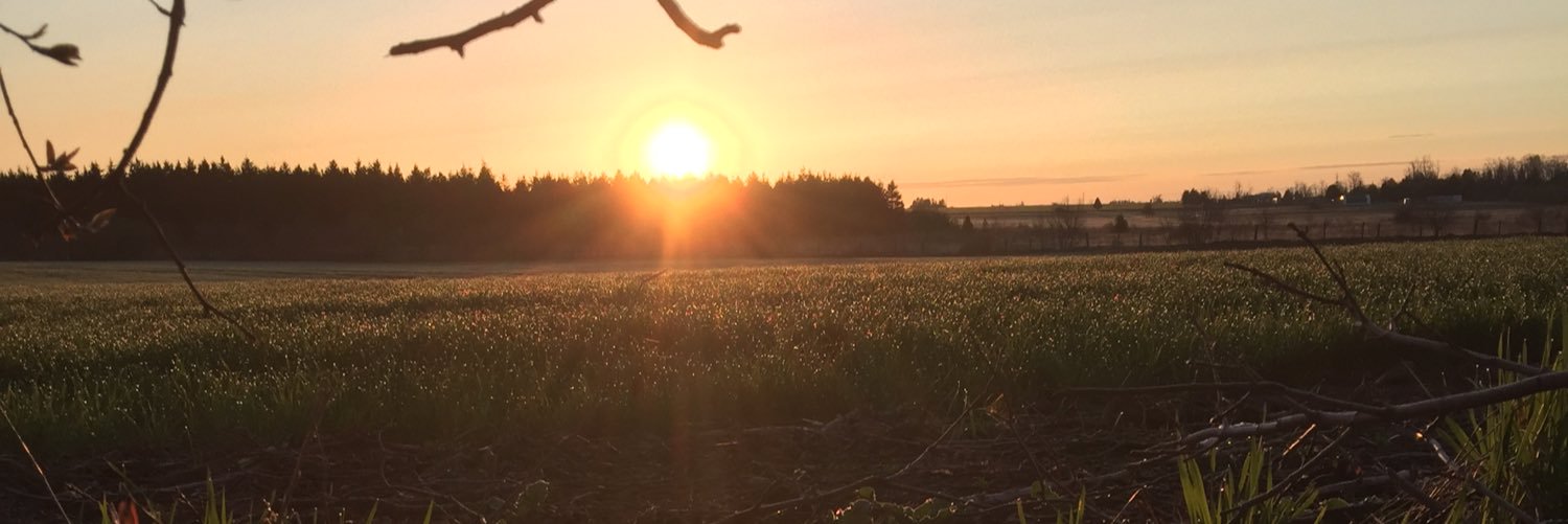Asawicki16's profile banner image
