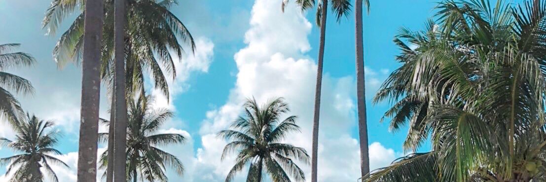 viewqpsw's profile banner image