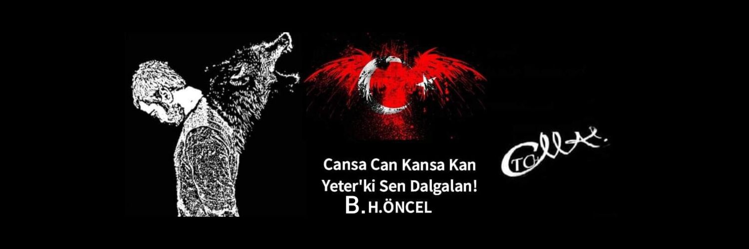 Turk_kini's profile banner image