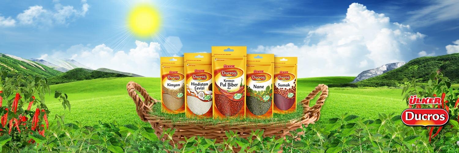DucrosTurkiye's profile banner image