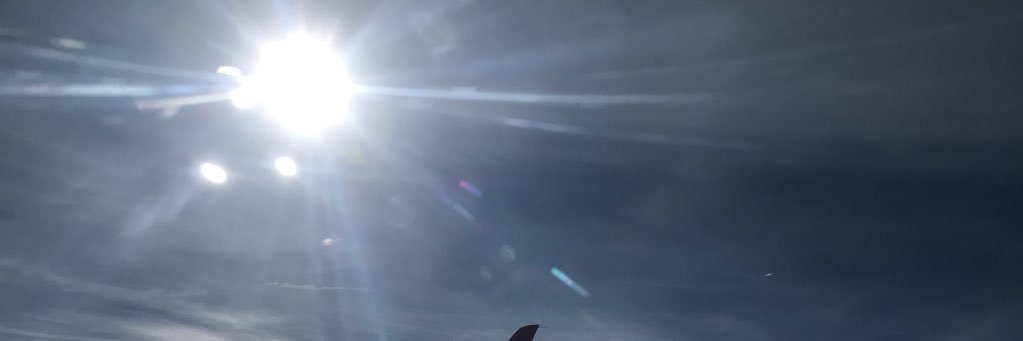 nosurprisee's profile banner image