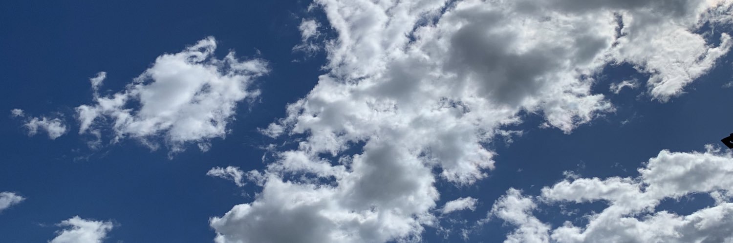 RobertaTuveri1's profile banner image