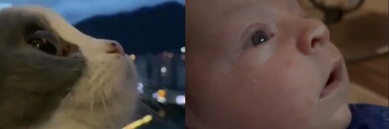 i cant do this anymore banner