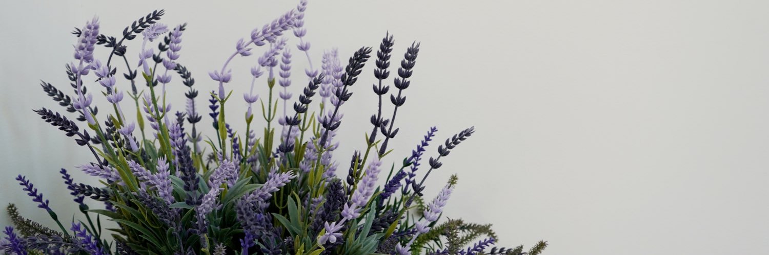 parvarevi's profile banner image