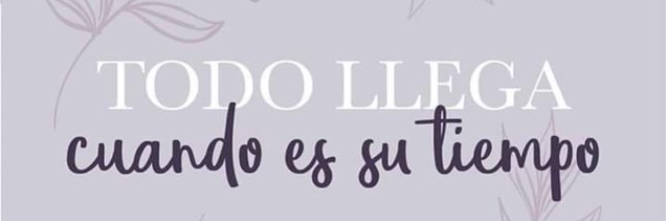 vale_toso's profile banner image