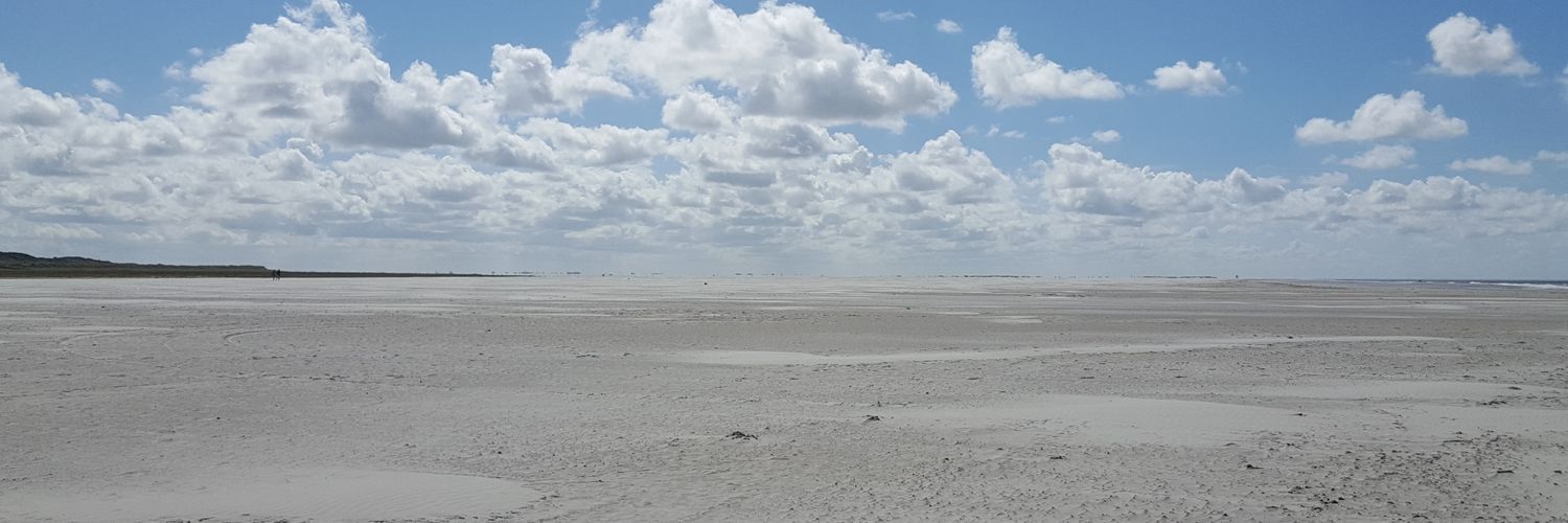 arianekop's profile banner image