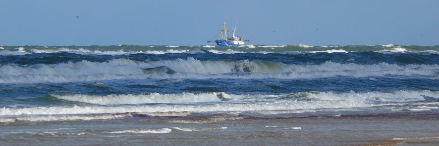 KoWananga (Kián) banner