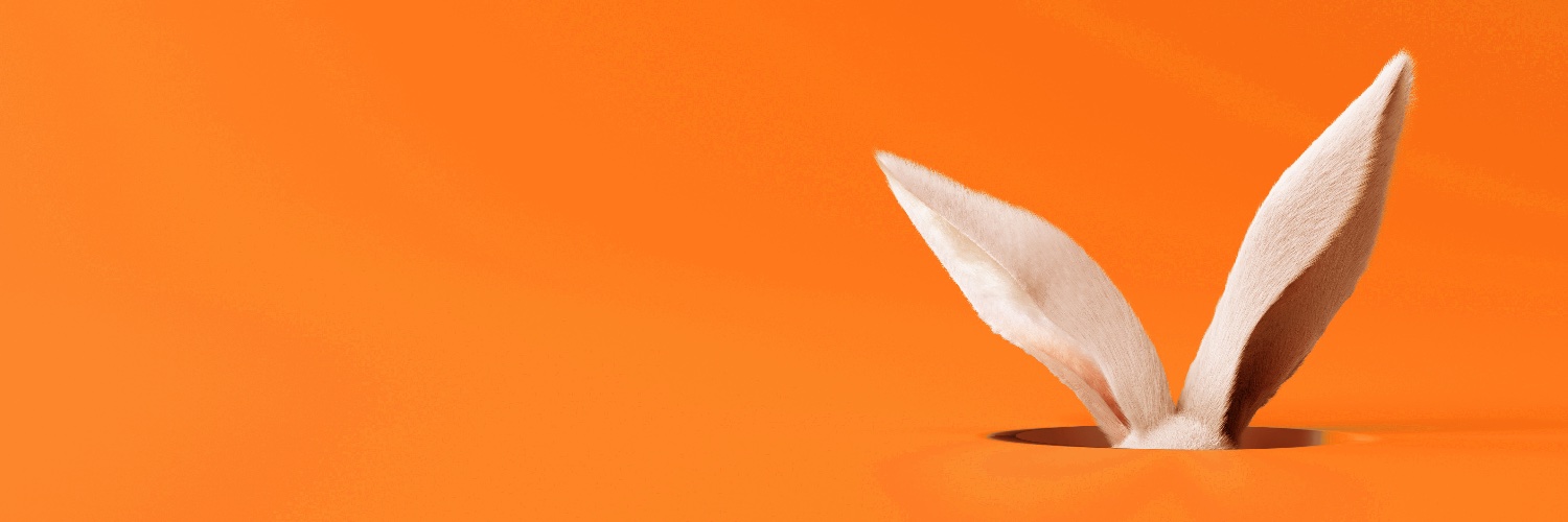 albertomaccari's profile banner image