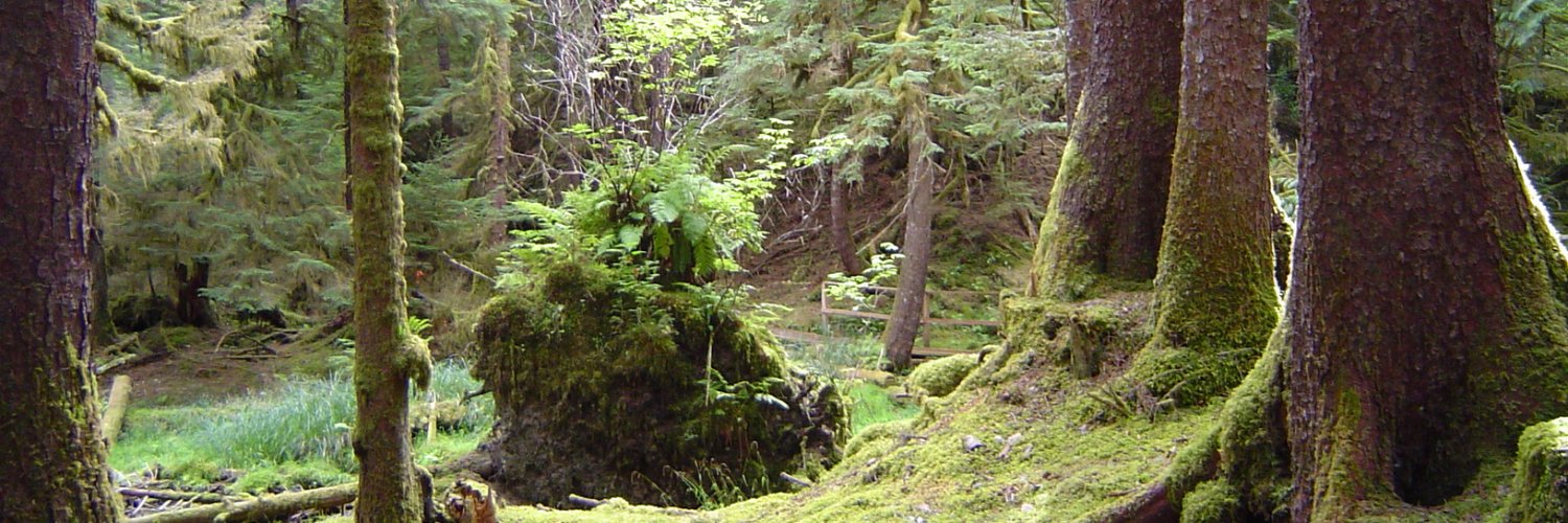 Desmond O'Kell banner