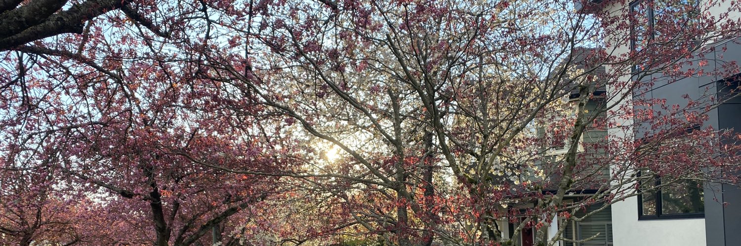 Richard Flynn banner