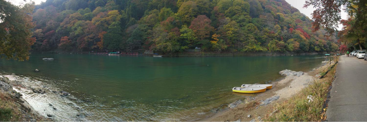 Dwi Yulia Irianita 🐉 $MON banner