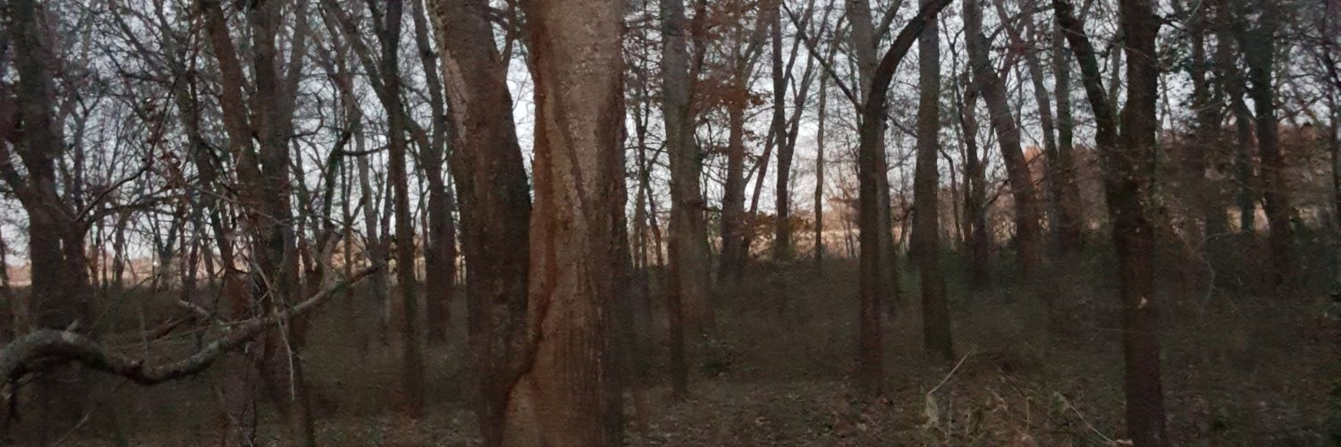 IsraelDarnell's profile banner image